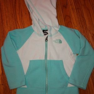 Teal fleece Northface hoodie